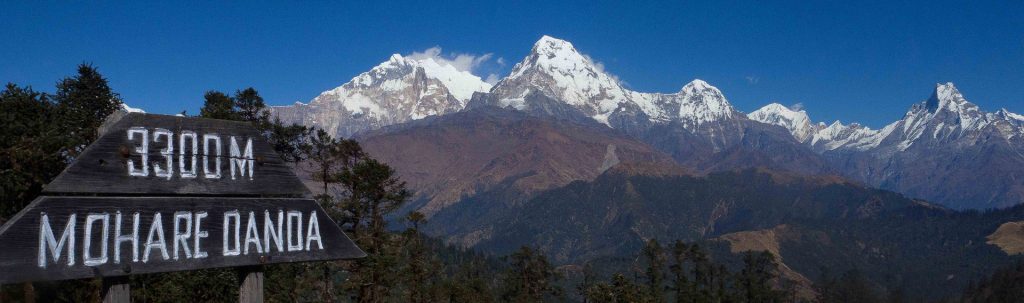 Best of Annapurna- Khopra, Poonhill and Mohare Danda